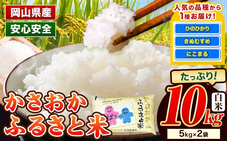 [令和7年11月発送][先行予約]米 令和7年産 10kg 予約 ふるさと米 備中笠岡 人気品種をお届け! 国産 ヒノヒカリ にこまる きぬむすめ お米 ブランド米 おにぎり 弁当 単一原料米 お取り寄せ 送料無料 岡山県産---R7-10k-R0711-24000---