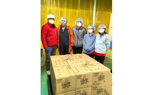 【詰替用大容量3袋×2】 衣料用洗剤 デオスタイル&柔軟剤 フラガンシア プリマローズの香り  洗剤 柔軟剤 衣類 障がい者 就労支援 事業