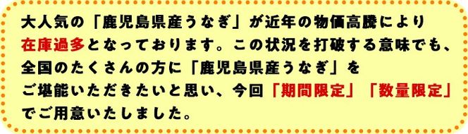 【0234317a】【緊急企画！数量限定】鰻の蒲焼(無頭)(4尾・計約600g・タレ、山椒付) うなぎ ウナギ 鰻 国産 蒲焼 蒲焼き たれ 鹿児島 ふるさと 人気 支援【アクアおおすみ】