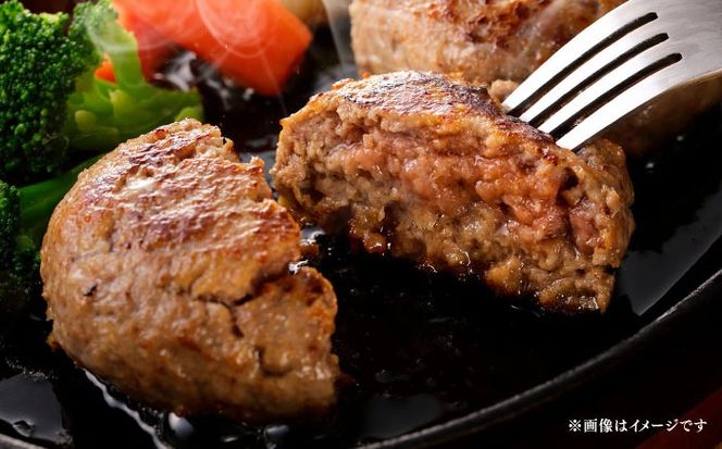 【全3回定期便】博多和牛 A5ランク 牛ミンチ 約500g×6 ≪築上町≫【KRAZY MEAT】 肉 和牛 ミンチ A5[ABEN058]