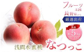 桃 先行予約 浅間水蜜桃 なつっこ 約5kg 秀品 13～22玉 フルーツ 果物 白桃 甘い 冷蔵