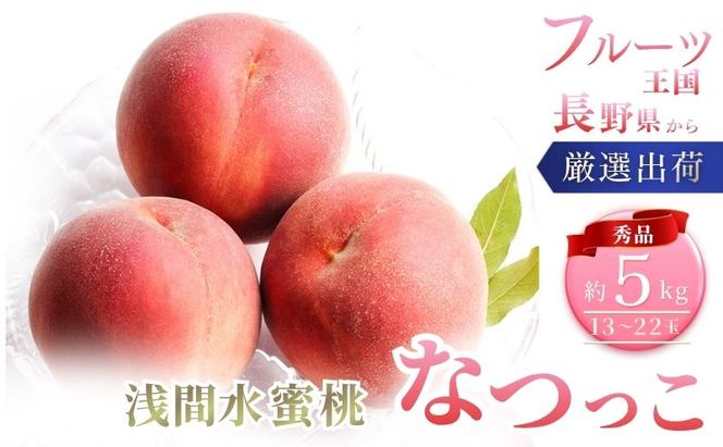 桃 先行予約 浅間水蜜桃 なつっこ 約5kg 秀品 13～22玉 贈答品 フルーツ 果物 白桃 甘い 冷蔵