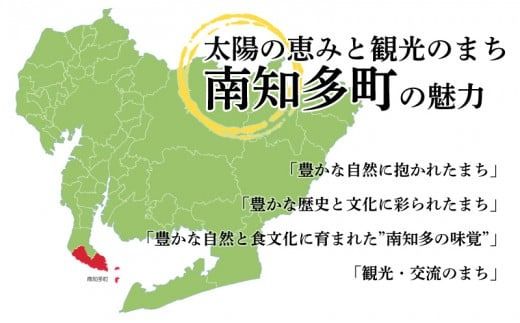 たこ 600g 3~6本 茹で 無添加 タコ足 蛸 タコ 酒 つまみ たこ焼き タコパ 料理 おかず 茹で蛸 CAS冷凍 自家製 篠島産 愛知県 南知多町