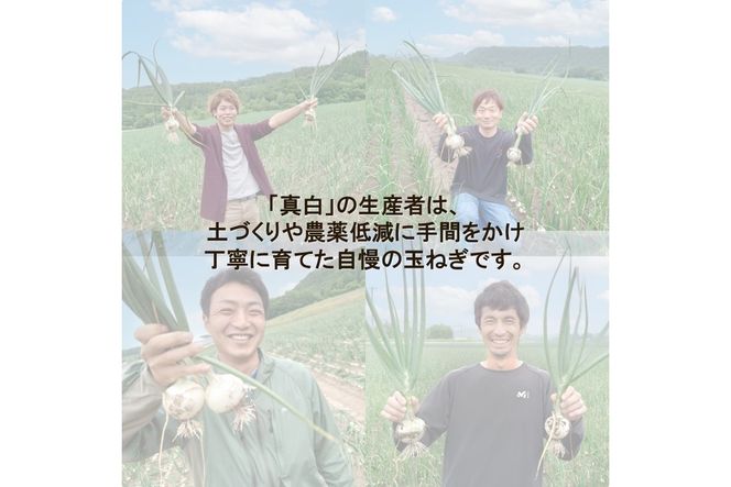 【予約：2027年8月発送】JAきたみらい産 玉ねぎ 真白 3kg ( 玉葱 たまねぎ 野菜 ましろ )【225-0002】