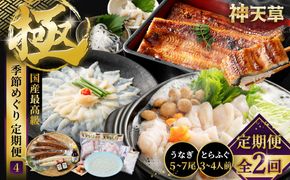 【2回定期便】【極】季節めぐり定期便4 ふぐ フグ 河豚 とらふぐ トラフグ てっさ てっちり うなぎ ウナギ 鰻 熊本県 上天草市