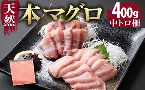 天然本まぐろ 《 中トロ 》  ４００ｇ お刺身用 天然まぐろ 天然マグロ まぐろ 鮪 刺身 お刺身 サク 柵 高知 室戸 冷凍 瞬間冷凍 小分け 便利 mgr