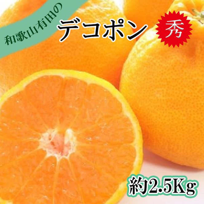 【先行予約】【秀品】デコポン 和歌山有田 約2.5kg