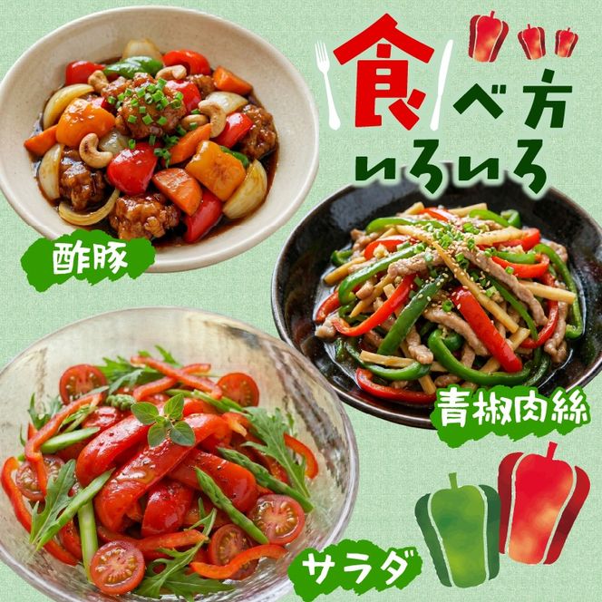 訳ありピーマン5kg [7-9月発送] 規格外 大容量 ピーマン 野菜 やさい 赤 緑 完熟 ぴーまん お裾分け 食品 旨味 ミネラル 栄養 自宅用 お試し ごはん 夕飯 おかず サラダ 被災 震災 火災 支援 大船渡 三陸 岩手県 国産