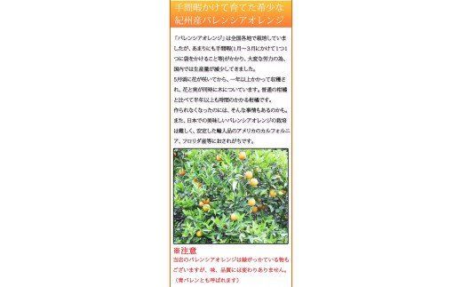 秀品　希少な国産バレンシアオレンジ　2.5kg　※2026年6月下旬頃～7月上旬頃 順次発送予定（お届け日指定不可）【uot752】