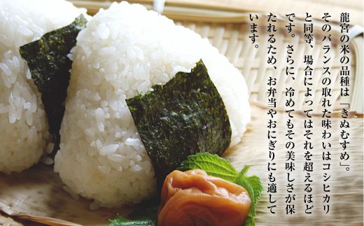 【定期便12ヶ月】龍宮の米 淡路島産 海藻肥料栽培米 5.0kg×12ヵ月