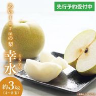 【先行予約】【数量限定】あい farm の梨 幸水 3kg (4～8玉) | 8月中旬より順次発送 梨 なし フルーツ 果物 新鮮 旬 梨園 益子町産 (DQ010)