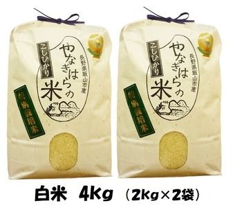 【令和6年産 新米予約】「やなぎはらの米　こしひかり」4㎏ (6-39)