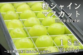 【2027発送分 先行予約】《厳選・宝石箱》シャインマスカットひと口BOX(18粒入り・約200g)　シャイン マスカット ぶどう 葡萄 ブドウ 房なし 粒シャイン 粒のみ 粒だけ くだもの 果物 フルーツ 山梨 やまなし 富士川町