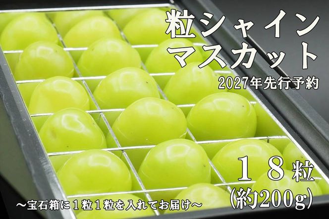 【2027発送分 先行予約】《厳選・宝石箱》シャインマスカットひと口BOX(18粒入り・約200g)　シャイン マスカット ぶどう 葡萄 ブドウ 房なし 粒シャイン 粒のみ 粒だけ くだもの 果物 フルーツ 山梨 やまなし 富士川町