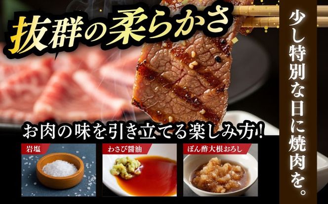 【訳あり】A4〜A5 国産牛ヒレ焼肉 600g 《築上町》【久田精肉店】 博多和牛 牛肉 人気 おすすめ[ABCL177]