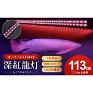紅龍オーナー必見!一瞬でアロワナを美しく魅せる水中LEDライト|AR2-120-EX［172C20］紅龍 専用 スーパーレッド 赤 照射 水中 アロワナ 水槽ライト テンニングライト LED ライト 照明 水中照明 光 綺麗 強化ガラス 耐久性 吸盤 1年保証 簡単 設置 でんらい インテリア 雑貨 愛知県 小牧市 送料無料