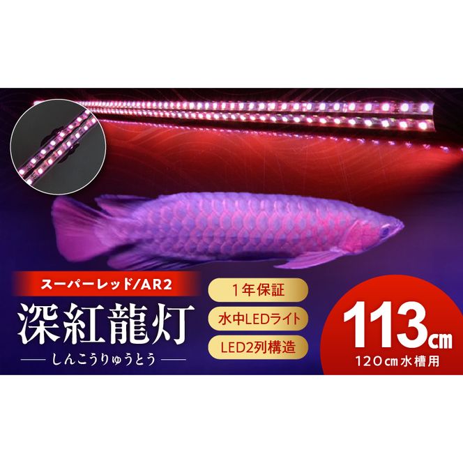 ymqszgI[i[K!uŃAi鐅LEDCg|AR2-120-EXm172C20ng p X[p[bh  Ǝ  Ai Cg ejOCg LED Cg Ɩ Ɩ  Y KX ϋv z 1Nۏ ȒP ݒu ł炢 C