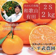 完熟有田みかん 約2kg 2Sサイズ(小玉) 秀品 平武農園 農家直送 蛍飛ぶ町から旬の便り BX117