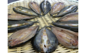 【鮎の繊細な味が凝縮された逸品】滋賀県産　鮎一夜干し【D005W】（滋賀県　近江八幡市）