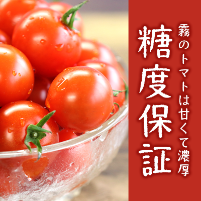 12月以降発送予約【霧で育てた濃厚な味】霧のトマト 200ｇ×4パック（07-54）