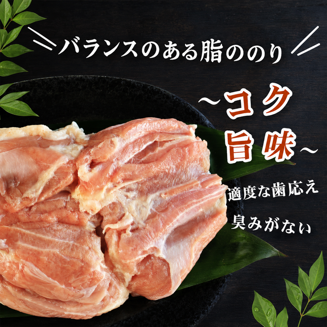 地鶏 愛媛 媛っこ地鶏 もも肉 約4kg 鶏肉 鳥肉 肉 チキン むね 焼肉 焼き鳥  BBQ 冷凍 国産 高級 タンパク質 低脂肪 糖質 唐揚げ チキン南蛮 サラダチキン スープ 出汁 愛南町 送料無料 ローカルスタンダード