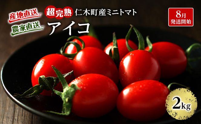 8月発送開始[2026年発送] 超完熟ミニトマト【 アイコ 】2kg（1kg×2箱）栽培期間中 農薬・除草剤不使用 サイズ混載 トマト ミニトマト 野菜 北海道 仁木町 [アイコファーム] 