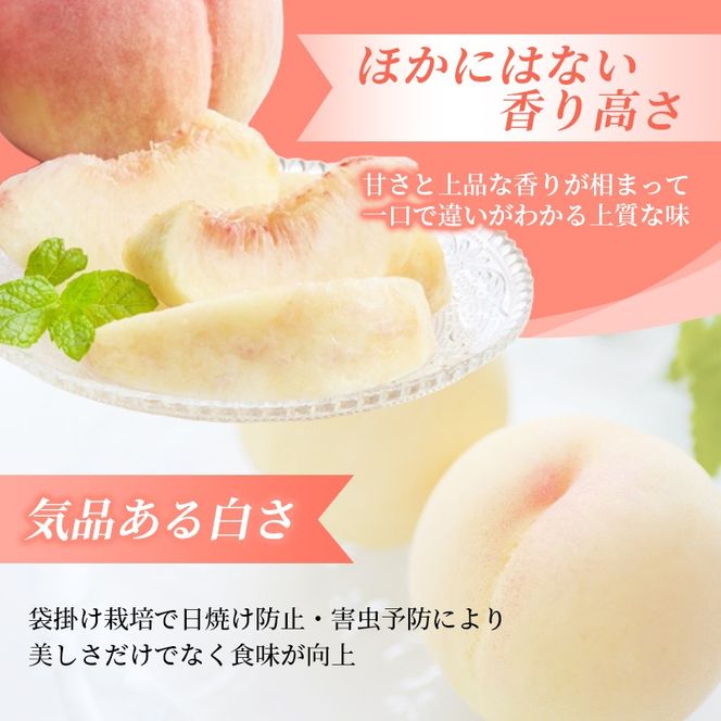 【2026年先行予約】 岡山県産 白皇 2kg 化粧箱入り・贈答用 高級 白桃 はくおう 花田青果【8月中旬～9月初旬まで順次発送予定】/ 桃 もも モモ 果物フルーツ 贈答品 贈り物 岡山県【hnds005】