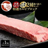 【CF-R7hbk】土佐あかうし＆土佐和牛2種食べ比べ（500g×2パック）1キロ 1kg 特選カルビブロック 特選 カルビ ブロック肉 牛肉 赤牛 和牛 国産 エイジングビーフ 天下味 エイジング工法 熟成肉 ギフト