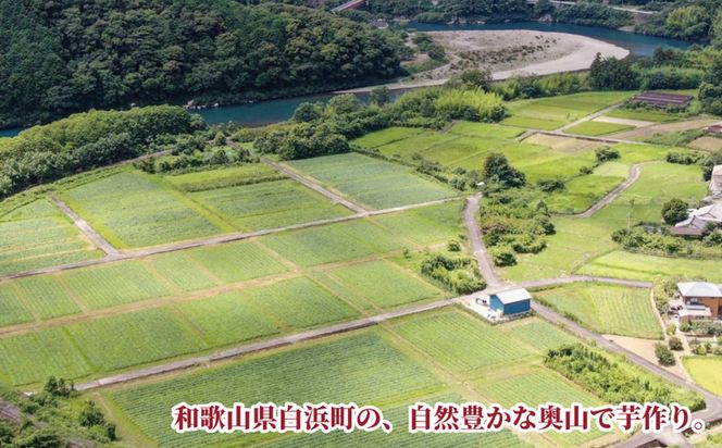 熊野紅はるか「芋平けんぴ」食べ比べセット 304018_DE04