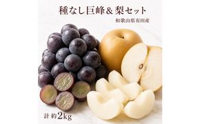 紀州有田産の種なし巨峰と梨セット　計約２kg【先行予約】【2026年8月中旬以降発送予定】AN027