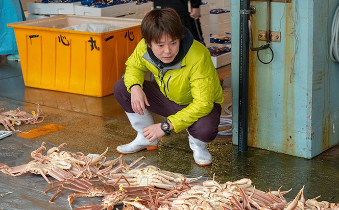 期間限定 茹で 越前ガニ 約800g 2杯 食通もうなる本場の味をぜひ、ご堪能ください 越前かに 蟹 カニ かに ボイルカニ ポーション ズワイガニ 海鮮 限定 福井 福井県 若狭町