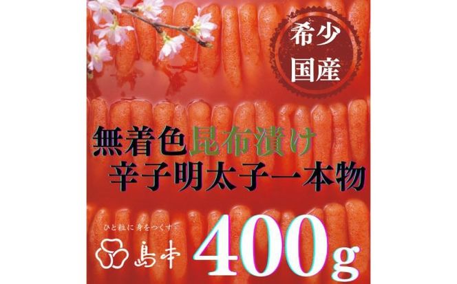 yz㒬zyhqq̓{z󏭍YEzЂhqq{400 z㒬yГ{Hiz߂񂽂 炱 q Y F 1{[ABCR012]