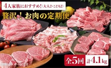 美味しさ 満載 ! 贅沢お 肉 セット の 定期便 全5回 (月1回) 4人 家族用 [福岡 糸島産 牛肉 豚肉 鶏肉 ステーキ しゃぶしゃぶ すき焼き ヒレ シャトーブリアン ロース] [糸島] [糸島ミートデリ工房] 