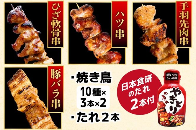 定期便 6回 焼き鳥 たれ付き 焼鳥10種 30本 2セット 1回 60本 合計360本 [山本食肉有限会社 山梨県 韮崎市 20745489] タレ たれ やきとり セット 焼き鳥セット 冷凍 便利 串