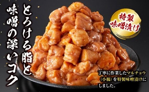 牛マルチョウ 味噌漬け 1.2kg ( 300g × 4 ) とろける脂 小分け 使いやすい 味付き 調理便利 野菜炒め ホルモン炒め 訳あり 不揃い 小腸 冷凍 配送時期が選べる 個包装 冷凍保存 アウトドア キャンプ おすすめ 人気