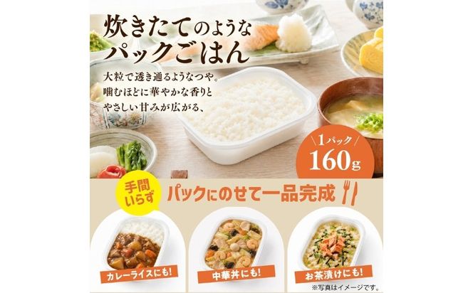 【6ヵ月定期便】パックごはん 「ひめの凜」（精米）160g 6個入り×6回（計36P） ｜ 愛媛県産 国産米100％ 精米 ライスパック パックご飯 常温保存 保存食 備蓄 新生活 レンジ 時短 防災 温めるだけ 愛媛県 鬼北町