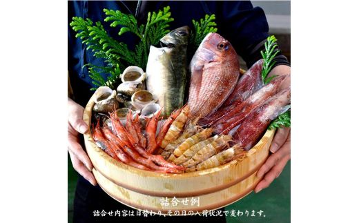石川県・加賀市 旬の鮮魚 ( 刺身用/下処理済 ) 詰合せ 4～5種 復興　震災　コロナ【能登半島地震復興支援】 北陸新幹線 F6P-0974