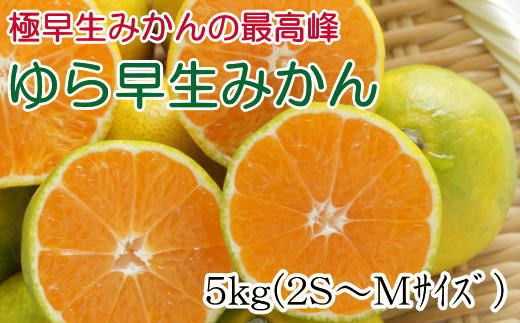 【極早生みかんの逸品】有田産ゆら早生みかん 約5kg※2026年10月中旬～2026年11月中旬頃より順次発送【tec801A】