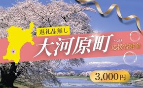 【返礼品なし応援寄附】宮城県大河原町（3,000円）