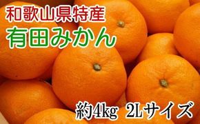 [秀品]和歌山有田みかん約4kg(2Lサイズ) ※2026年11月中旬～2027年1月中旬頃に順次発送予定（お届け日指定不可） 【tec915B】