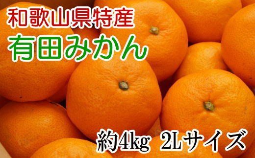 [秀品]和歌山有田みかん約4kg(2Lサイズ) ※2026年11月中旬～2027年1月中旬頃に順次発送予定（お届け日指定不可） 【tec915B】