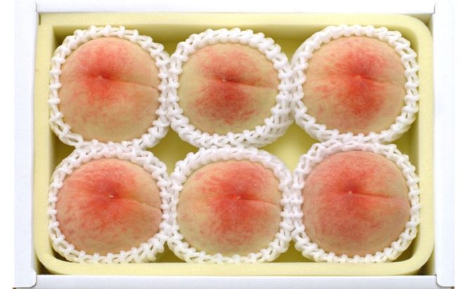 桃 2026年先行予約 岡山県産 白桃 約1.3kg 5～7玉 お届け 7月上旬～7月下旬