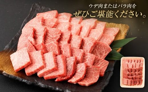 ＜≪肉質等級4等級以上≫宮崎牛ウデ・バラ焼肉セット（600g）＞入金確認後、翌月末までに順次出荷【c1426_tu】 宮崎牛 牛肉 肉 お肉 黒毛和牛 ブランド肉 ウデ バラ 赤身 新鮮 焼き肉 焼肉 冷凍 国産