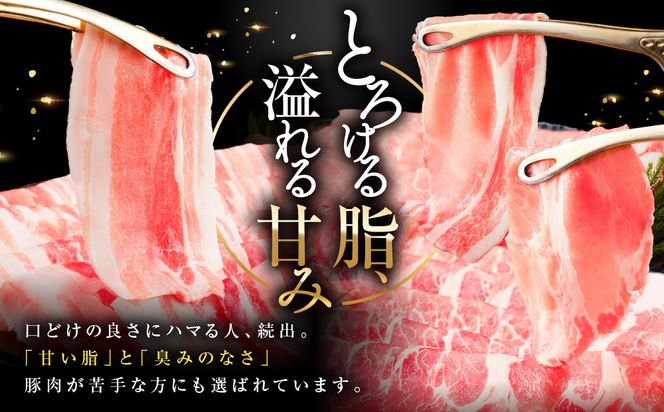 【ふるさと納税限定】和豚もちぶたしゃぶしゃぶセット 合計1.2kg（ロース バラ 肩ロース）ふるさと納税 【小分け 豚肉 ポーク 豚しゃぶ しゃぶしゃぶ肉 冷凍 和豚もちぶた こだわりの豚肉 おいしい豚 贈り物 贈答品 ご褒美 神奈川県 小田原市 】 142069_BX006