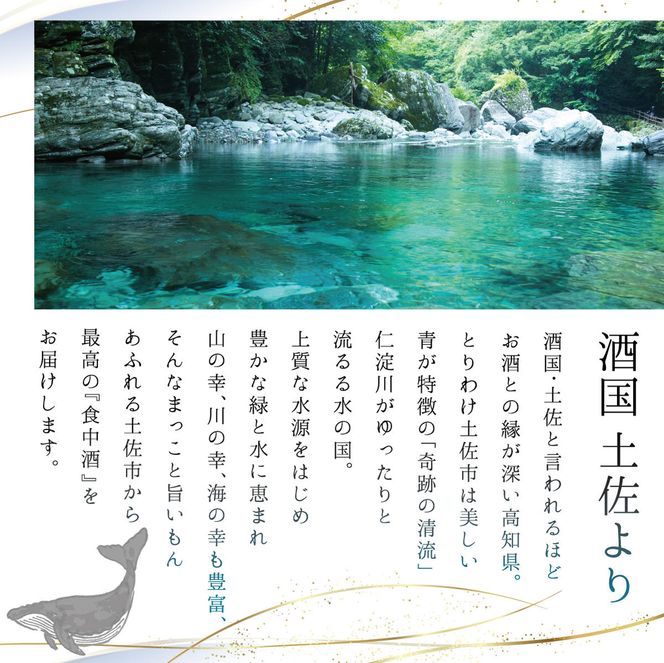 【数量限定】酔鯨 純米大吟醸 DAITO 2025 720ml×1本 酔鯨 純米大吟醸 化粧箱入 お酒 酒 日本酒 おさけ 晩酌 家飲み 宅飲み ご当地 お取り寄せ 美味しい【株式会社とさもん】 [BQAE102]