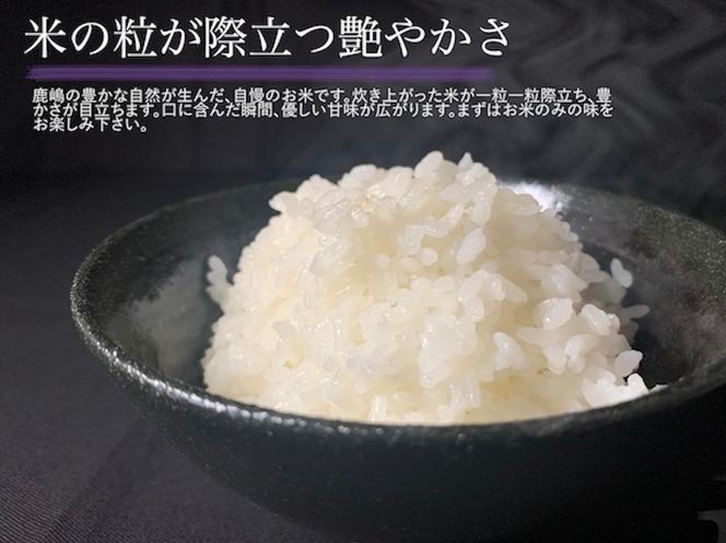 【令和7年産】安心安全のお米！特別栽培米コシヒカリ（5kg）【茨城県 お米 こしひかり 産地直送 おいしい ごはん 】（KAV-5）