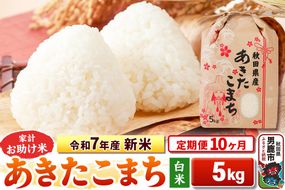 《定期便10ヶ月》令和7年産 新米 【白米】家計お助け米 あきたこまち 5kg|23_kml-010510