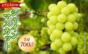 【2026年先行予約】 ぶどう 岡山県産 シャインマスカット 1房（700g以上） 《2026年7月下旬-8月下旬頃出荷》 葡萄 ブドウ フルーツ 果物 スイーツ 数量限定 期間限定 里庄町 リアム farm