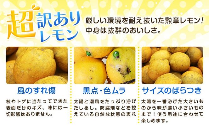レモン 超訳ありレモン 約5kg 《2月上旬-5月末頃出荷》 和歌山県 日高川町 れもん 檸檬 柑橘 訳あり 果物 くだもの フルーツ 青果物---wshg_dsk97_2j5m_26_7000_5---