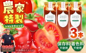 糸島のトマト農家が作る 無添加トマトケチャップ 3本セット 糸島市 / かわぞえ農園 ケチャップ トマト[AAM007]